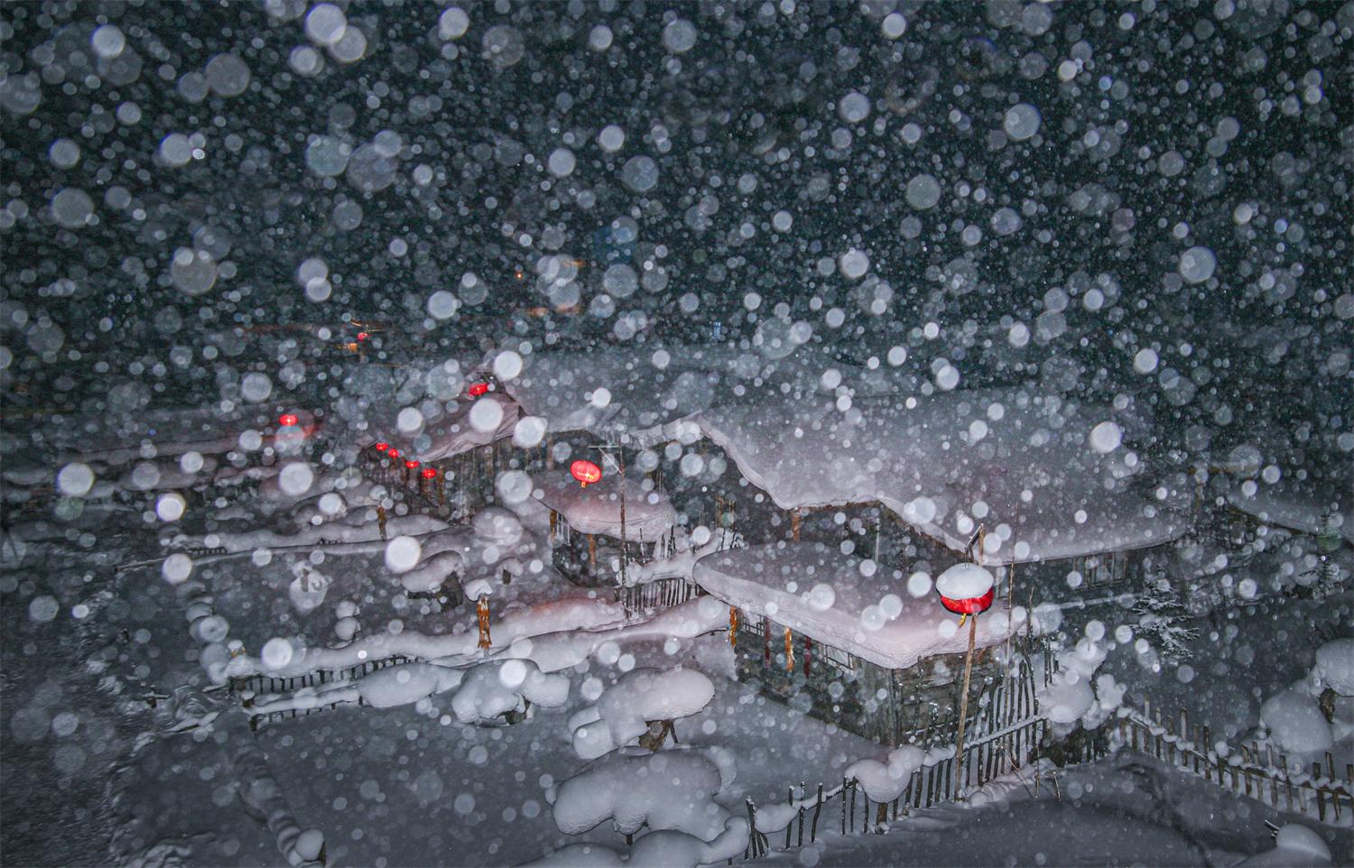 今日看料网页版海报