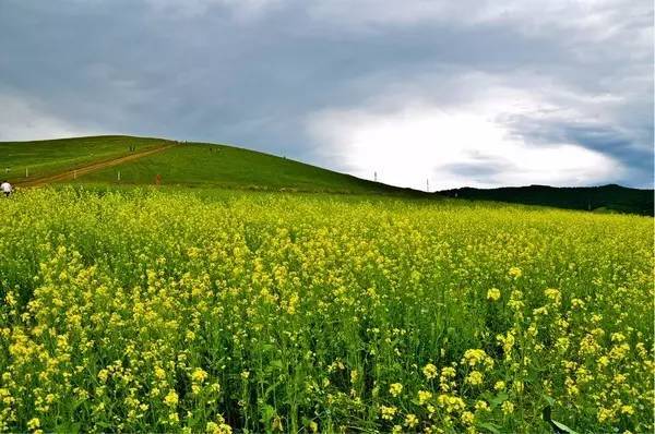 姐夫舔我 如果暂时无法当面处理
