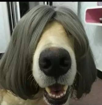 里番漫画动漫海报